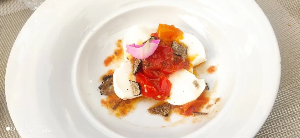 Tomate Burrata Truffe